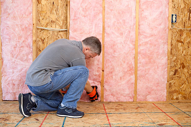 Eco-Friendly or Green Insulation Solutions in Gardena, CA